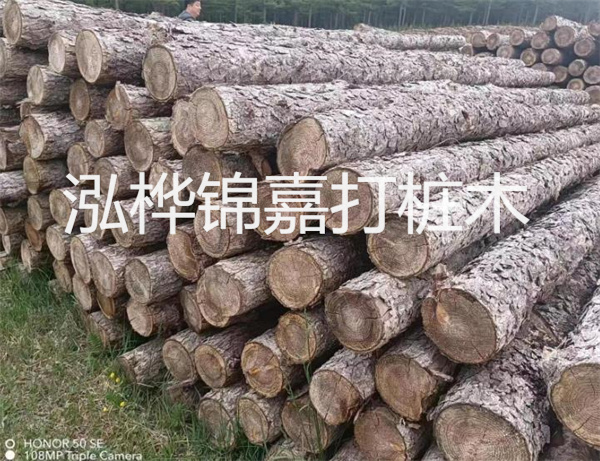 高效修補(bǔ)，保駕護(hù)航！水泥路面高強(qiáng)度修補(bǔ)料為您解決煩惱！
