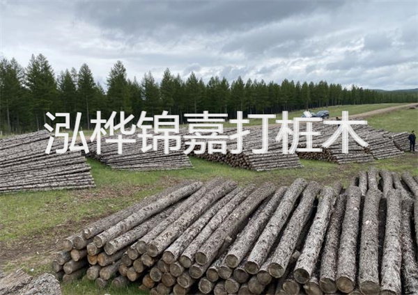 鋼結(jié)構(gòu)施工方案大全免費(fèi)提供，助力工程建設(shè)