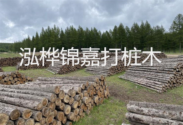 預(yù)制松木樁施工工藝：優(yōu)質(zhì)材料，高效快速，堅固耐用
