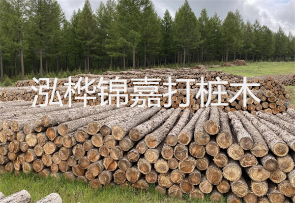 松木樁能施工嗎？探究視頻揭秘真相！