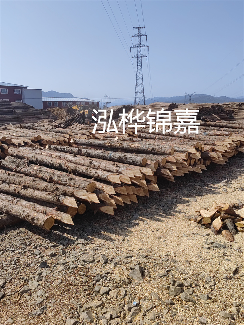 深入了解松木樁基礎(chǔ)施工單價(jià)，助力工程建設(shè)順利進(jìn)行！