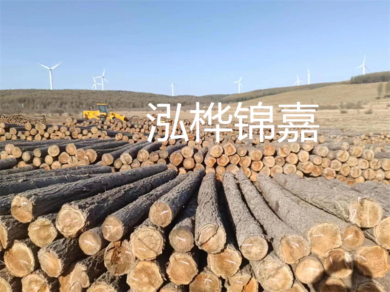 溫州松木樁施工廠家——為您打造堅固穩(wěn)定的建筑基礎(chǔ)！