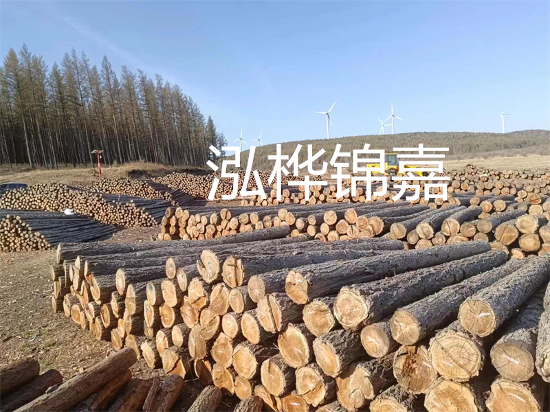 用路基松木樁施工方案提升工程質(zhì)量描述：了解路基松木樁施工方案的重要性，提高工程質(zhì)量關(guān)鍵詞：路基松木樁，施工方案，工程質(zhì)量