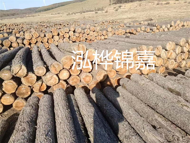 選擇合適的路緣石尺寸，打造美麗道路